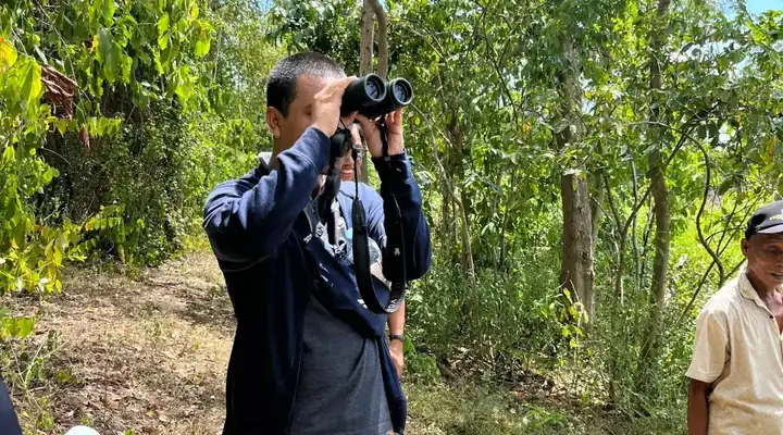 Wildlife observation in the field