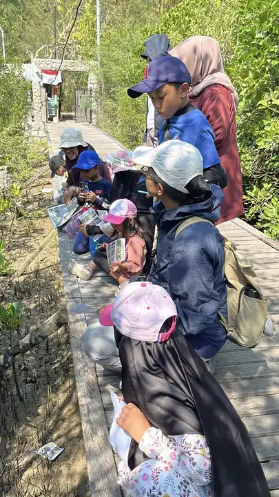 Participants observing mangroves from the boardwalk