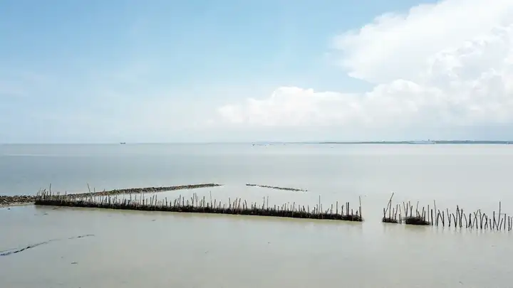 Permeable structures in the Tanjung Widoro intertidal zone